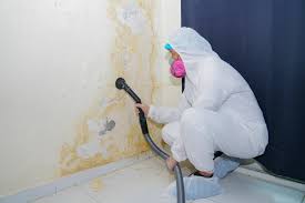 Best Environmental Consulting for Mold Prevention  in England, AR